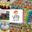 국제브레인협동조합 이미지