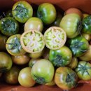 대저 토마토&amp;보성 골드키위&amp;다크 레드자몽&amp;필리핀 허니골드 파인애플&amp;한라봉&amp;함양부사 가정용!!! 이미지