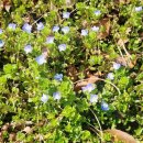 천호지공원 | 천안 산책로 추천! 단대호수 '천호지' 둘레길 주차부터 데이트 코스까지 총정리