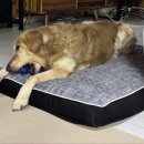 이든덴탈 이미지