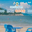 모사금해수욕장