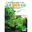 수초아쿠아 이미지