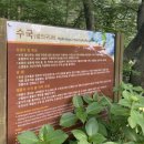 이마트24 태종사점 | 생각보다 힘들었던 태종대 수국 꽃구경 (태종사에서 전망대까지)