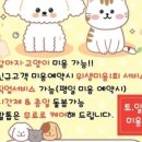 힐스 펫살롱 이미지