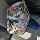 청주도곡한의원 | 청주 도곡한의원 유산 후 보약 후기 및 비용·주차 정보 정리