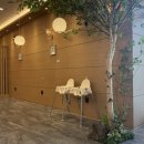 세븐일레븐 부산하단제일점 | 부산 사하구 하단 맛집 "스시투어" | 하단 초밥 맛집 | 재방문 후기 |(접시 균일가 2,850원)