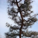 외양농장 이미지