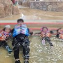 오션제일합기도 이미지