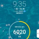 샐포시