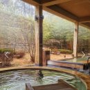 (주)소노호텔앤리조트청송지점 솔샘온천 | 청송 솔샘온천 국내 온천여행 노천탕 금액 할인 후기