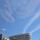 한세대학교 공공정책대학원 네이버블로그