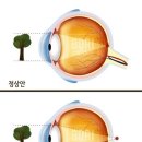 안경진정성 평택고덕에듀타운점 이미지