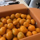 풍원농장 이미지