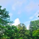[포천 일상산책] 여름 한가운데🍃, 전나무숲길에서 나를 비우다: 국립수목원편🌲