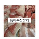 [당진] 원당동 횟집 ::: 동해수산참치(feat. 대방어회/스끼다시 사진 첨부)