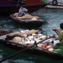 Halong (하롱) 이미지