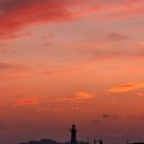 제주 올레길 8코스 이미지