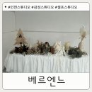 거북로 | 인천 서구] 아기 감성 셀프 스튜디오 "베르엔느"