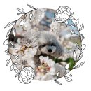 시월식당 | 시월하늘과 함께한 경주 벚꽃 시즌 2026, 소노캄 스위트 펫프렌들리