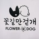 꽃길만걷개 이미지