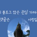 가야금계탕 이미지