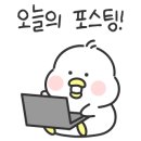 핫도그 반려견 유치원 이미지