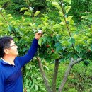 지리산 산골농원 이미지