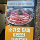 해브굿 이미지