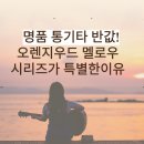 나도 통기타 연주자 | 오렌지우드 통기타 멜로즈시리즈 사이즈별 특징 고르는 방법 장단점 솔직후기