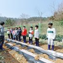 자은초등학교 이미지