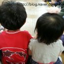 숲속둥지어린이집 이미지