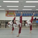 마스터케이 태권도 이미지