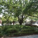 뽑기게임랜드 이미지