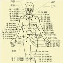 이침이야기 Daum카페