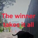 The winner takes it all 이미지