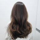 MAVE 헤어