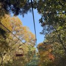 (주)무등산행 | 전라도 광주 가을 명소 무등산 리프트, 모노레일, 지산유원지(가격, 주차정보, 솔직 후기)