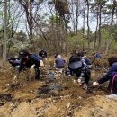 도래공원 이미지