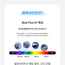 다비치안경 대전역점