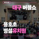 용호초교 병설유치원 | 대구버블쇼 용호초병설유치원 유초이음교육 생생후기