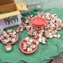 태화종합시장 고객지원센터 이미지