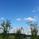 운동의 계절 이미지