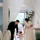 쁘띠헤어 | 대구돌잔치드레스 헤어메이크업 예약 전 필독! 쁘띠엘라 솔직 후기