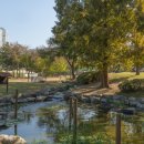 구갈레스피아공원 이미지