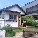 케비아치킨 | J처럼 생활하는 강릉 여행 1