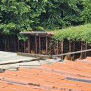 개야농장 이미지