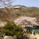 (주) 로진 Daum카페