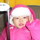 스랍들어린이집 Daum카페