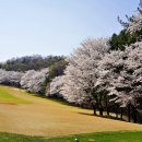 고양컨트리클럽(주) 이미지