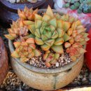 블루핀타워 이미지